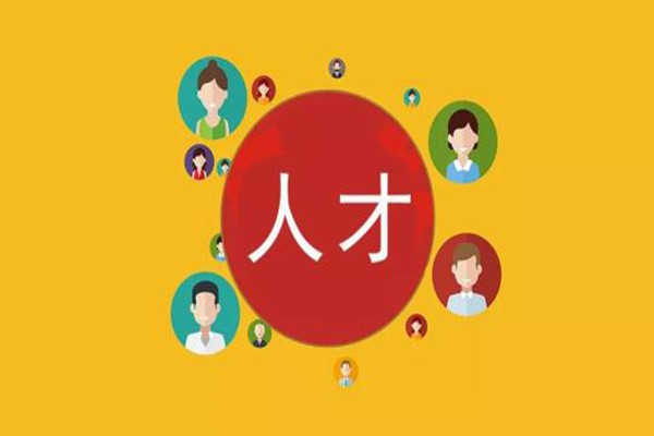 锐雅中国人才战略