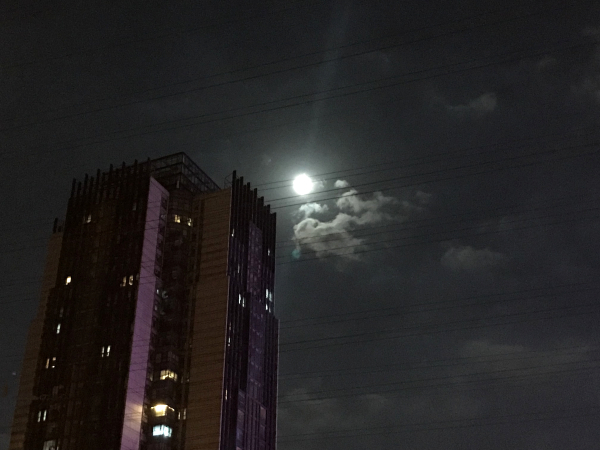 04_副本-1.jpg
