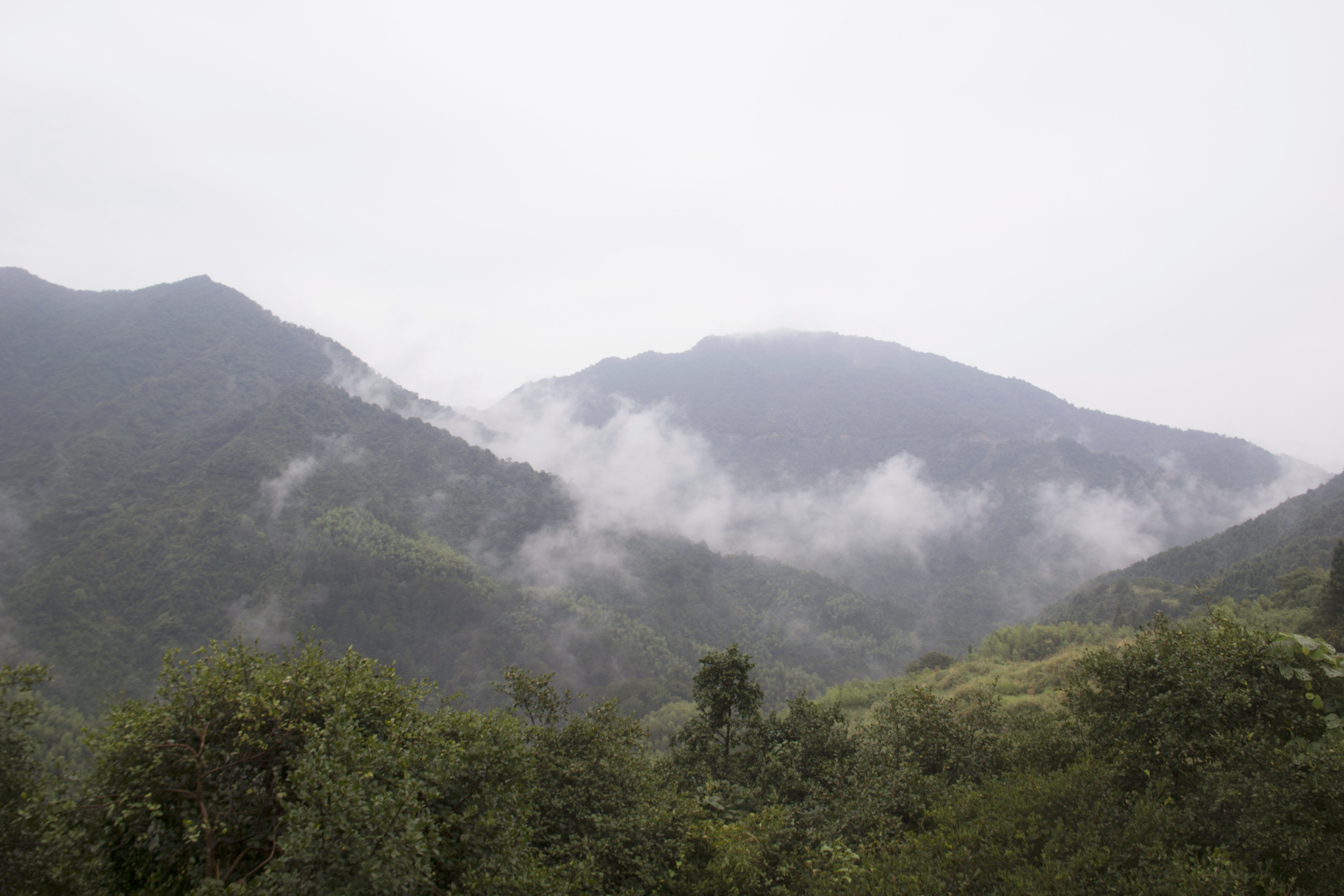 _MG_0052_副本.jpg
